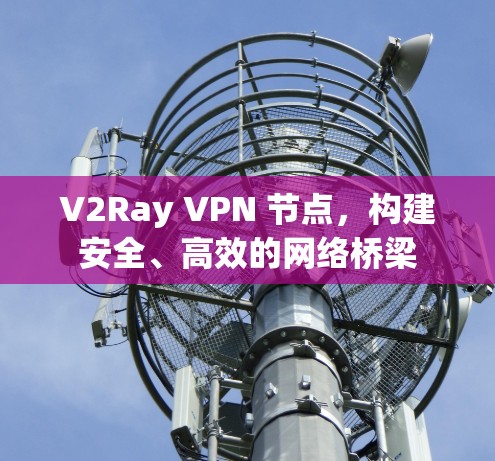 V2Ray VPN 节点,构建安全、高效的网络桥梁 V2Ray VPN 节点,构建安全、高效的网络桥梁