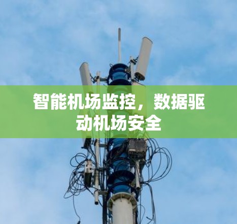 智能机场监控，数据驱动机场安全