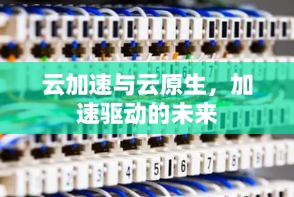 云加速与云原生，加速驱动的未来
