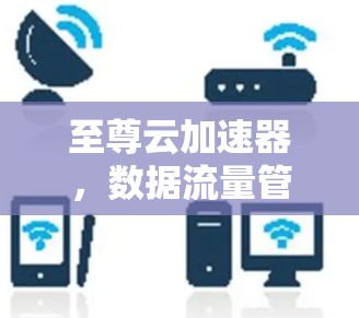 至尊云加速器,数据流量管理的专家 至尊云加速器,数据流量管理的专家
