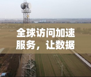 全球访问加速服务,让数据更快速流动 全球访问加速服务,让数据更快速流动