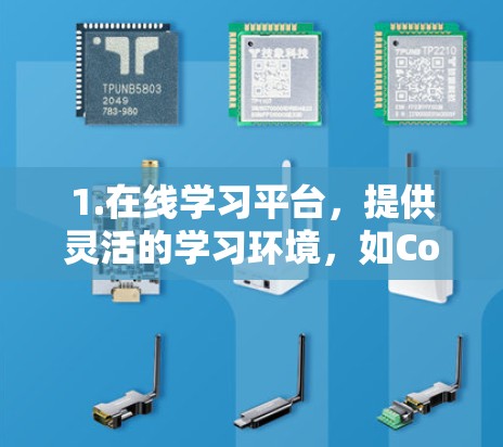 1.在线学习平台，提供灵活的学习环境，如Coursera、edX等，帮助学生进行在线课程学习，支持互动和评估。适合灵活学习的学生