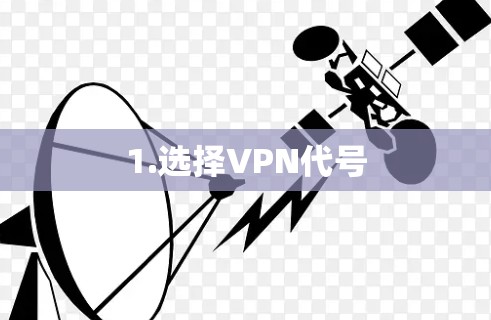 1.选择VPN代号
