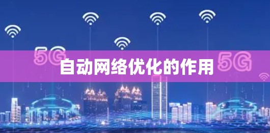 自动网络优化的作用