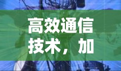 高效通信技术，加速器与代理服务的创新与应用