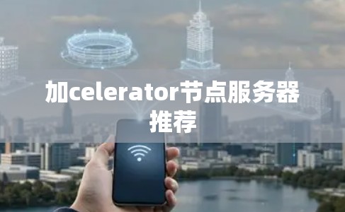 加celerator节点服务器推荐