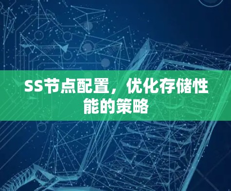 SS节点配置，优化存储性能的策略