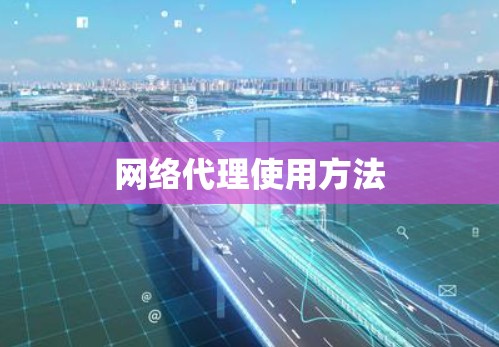 网络代理使用方法