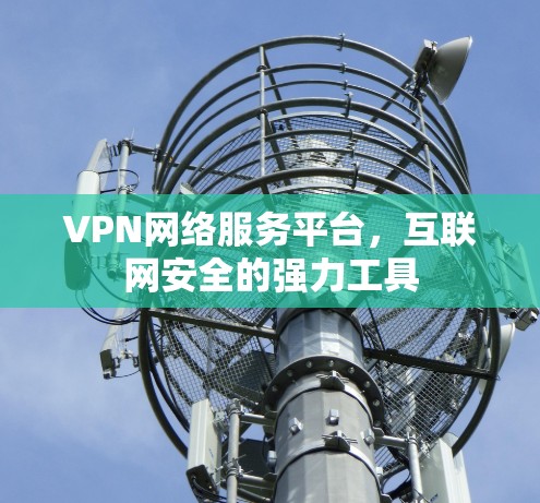 VPN网络服务平台，互联网安全的强力工具