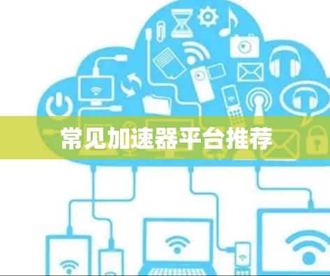 常见加速器平台推荐