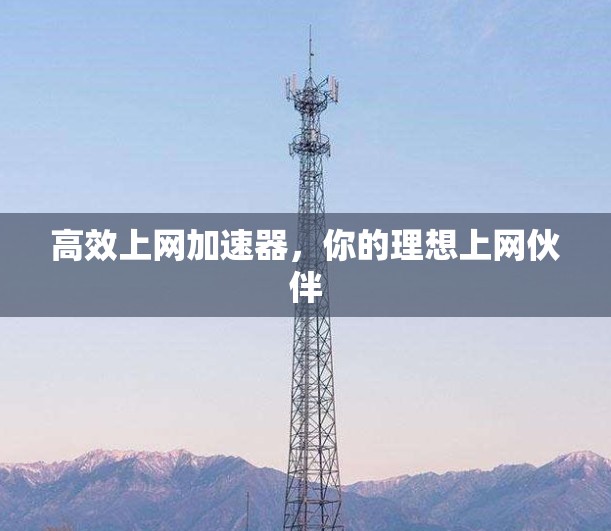 高效上网加速器，你的理想上网伙伴
