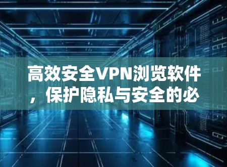 高效安全VPN浏览软件，保护隐私与安全的必备工具
