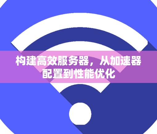 构建高效服务器，从加速器配置到性能优化