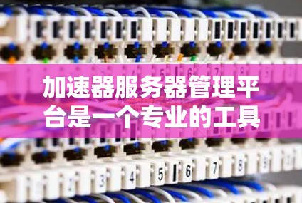 加速器服务器管理平台是一个专业的工具，帮助管理加速器服务器，优化下载速度。以下是逐步的使用指南