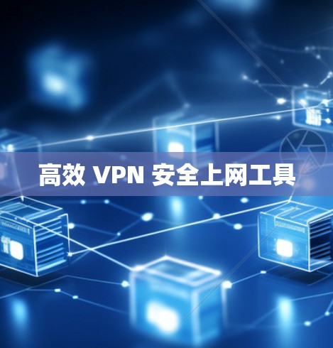 高效 VPN 安全上网工具