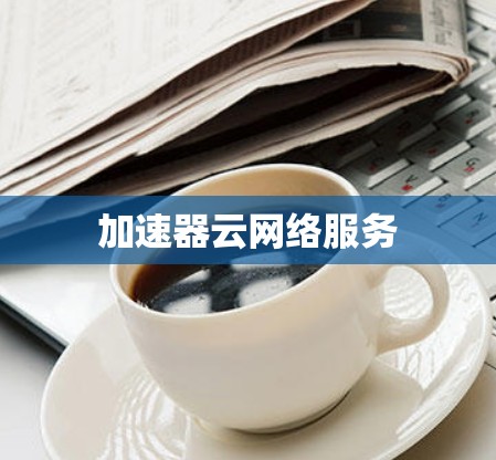 加速器云网络服务