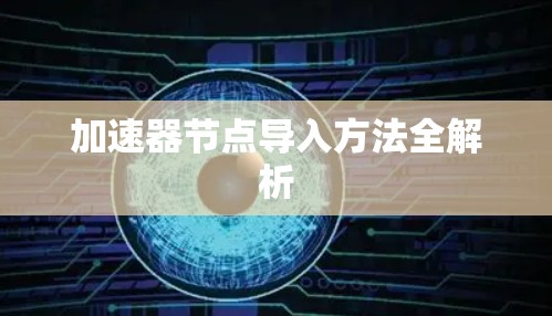 加速器节点导入方法全解析