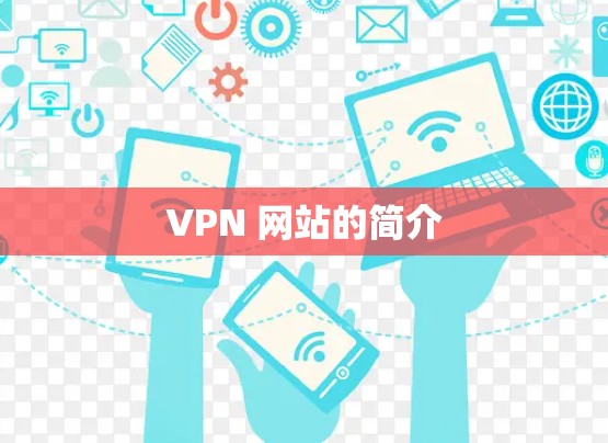 VPN 网站的简介