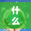 什么是VPN？如何选择合适的VPN服务？