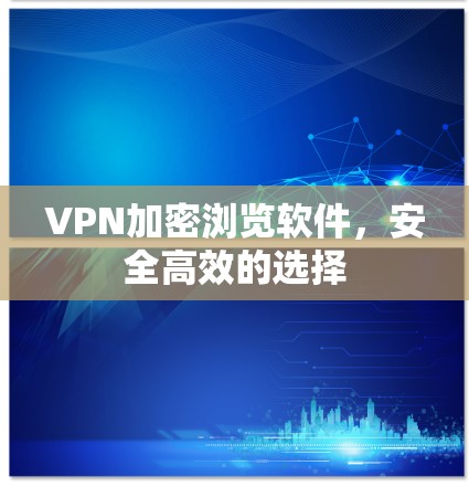 VPN加密浏览软件，安全高效的选择