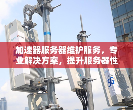 加速器服务器维护服务，专业解决方案，提升服务器性能