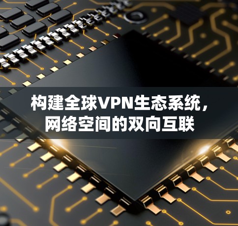 构建全球VPN生态系统，网络空间的双向互联