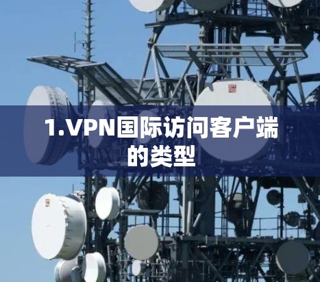 1.VPN国际访问客户端的类型