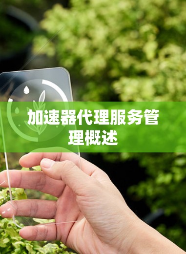 加速器代理服务管理概述