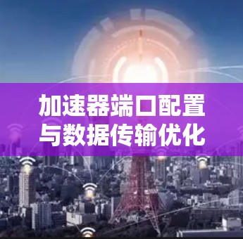 加速器端口配置与数据传输优化