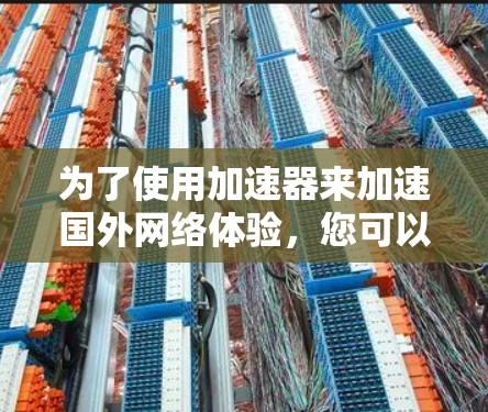 为了使用加速器来加速国外网络体验，您可以按照以下步骤进行