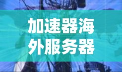 加速器海外服务器方案是一种通过海外服务器来扩展功能、增强性能或满足特定需求的服务器架构。以下是一个全面的海外服务器解决方案，涵盖技术架构、配置、性能优化和维护方面