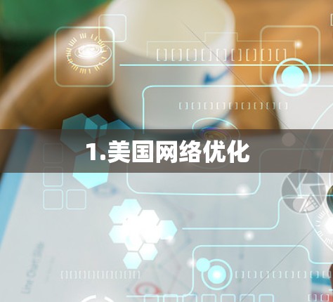 1.美国网络优化