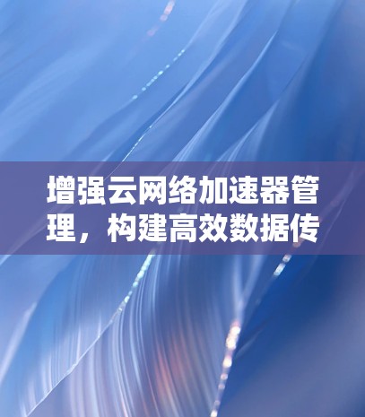 增强云网络加速器管理，构建高效数据传输架构