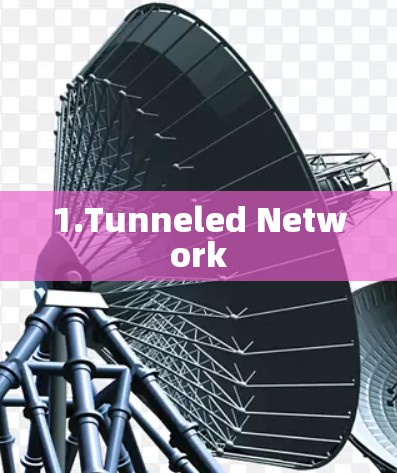 1.Tunneled Network