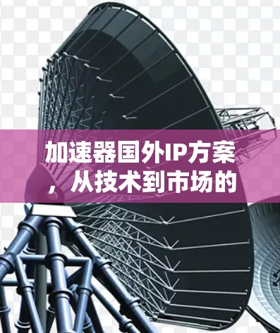加速器国外IP方案，从技术到市场的成功之道