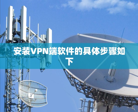 安装VPN端软件的具体步骤如下