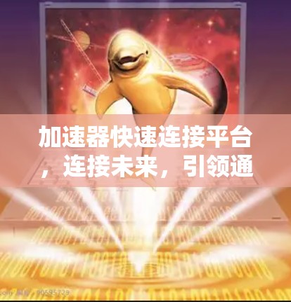 加速器快速连接平台，连接未来，引领通信新时代