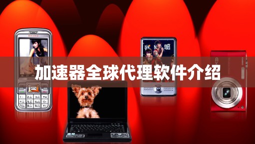 加速器全球代理软件介绍