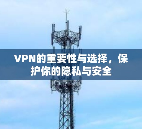 VPN的重要性与选择，保护你的隐私与安全