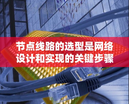 节点线路的选型是网络设计和实现的关键步骤，涉及多个方面的综合考虑。以下是对节点线路选型的详细指南