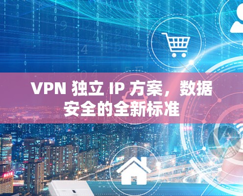 VPN 独立 IP 方案，数据安全的全新标准