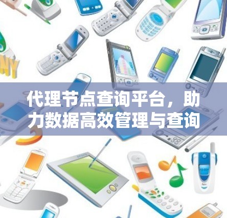 代理节点查询平台，助力数据高效管理与查询
