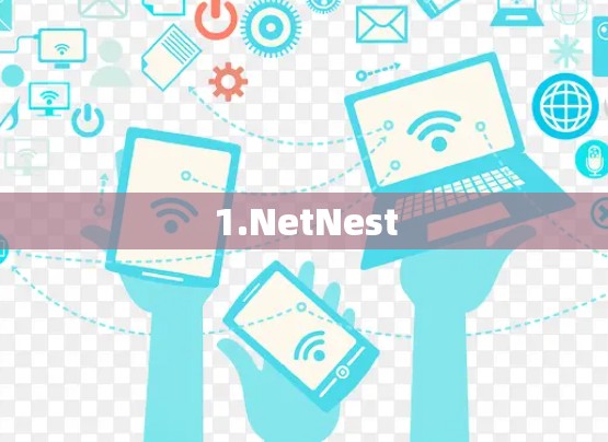 1.NetNest 1.NetNest
