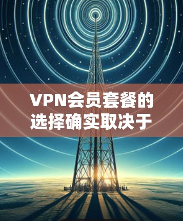 VPN会员套餐的选择确实取决于您的需求和预算。以下是一些常见的VPN套餐类型及其特点，供您参考