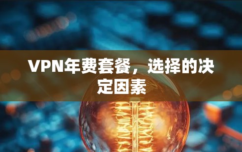VPN年费套餐，选择的决定因素