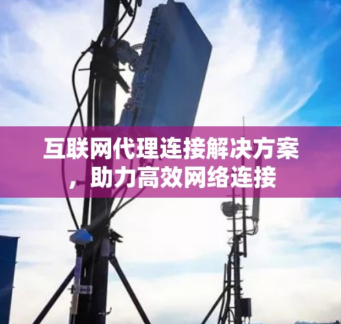 互联网代理连接解决方案，助力高效网络连接