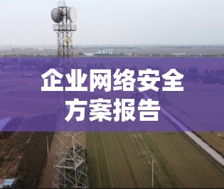 企业网络安全方案报告 企业网络安全方案报告