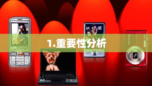 1.重要性分析
