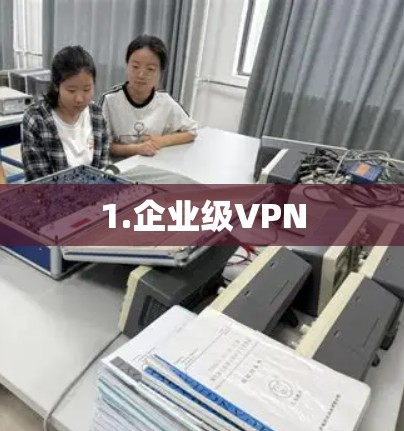 1.企业级VPN