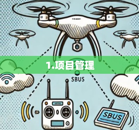 1.项目管理
